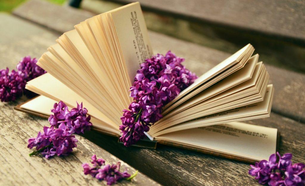 Livre ouvert avec des fleurs violettes (Lilas)